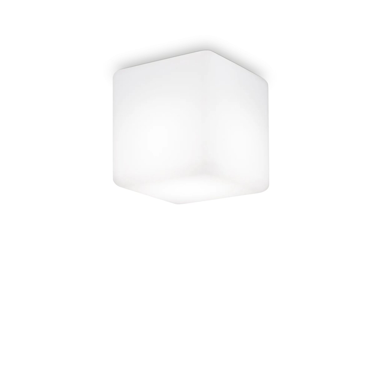 LUNA PL1 D11