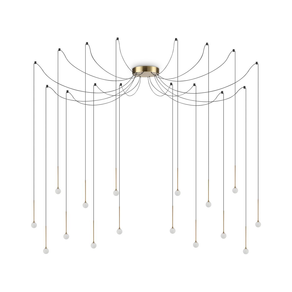 LUCCIOLA SP16 OTTONE