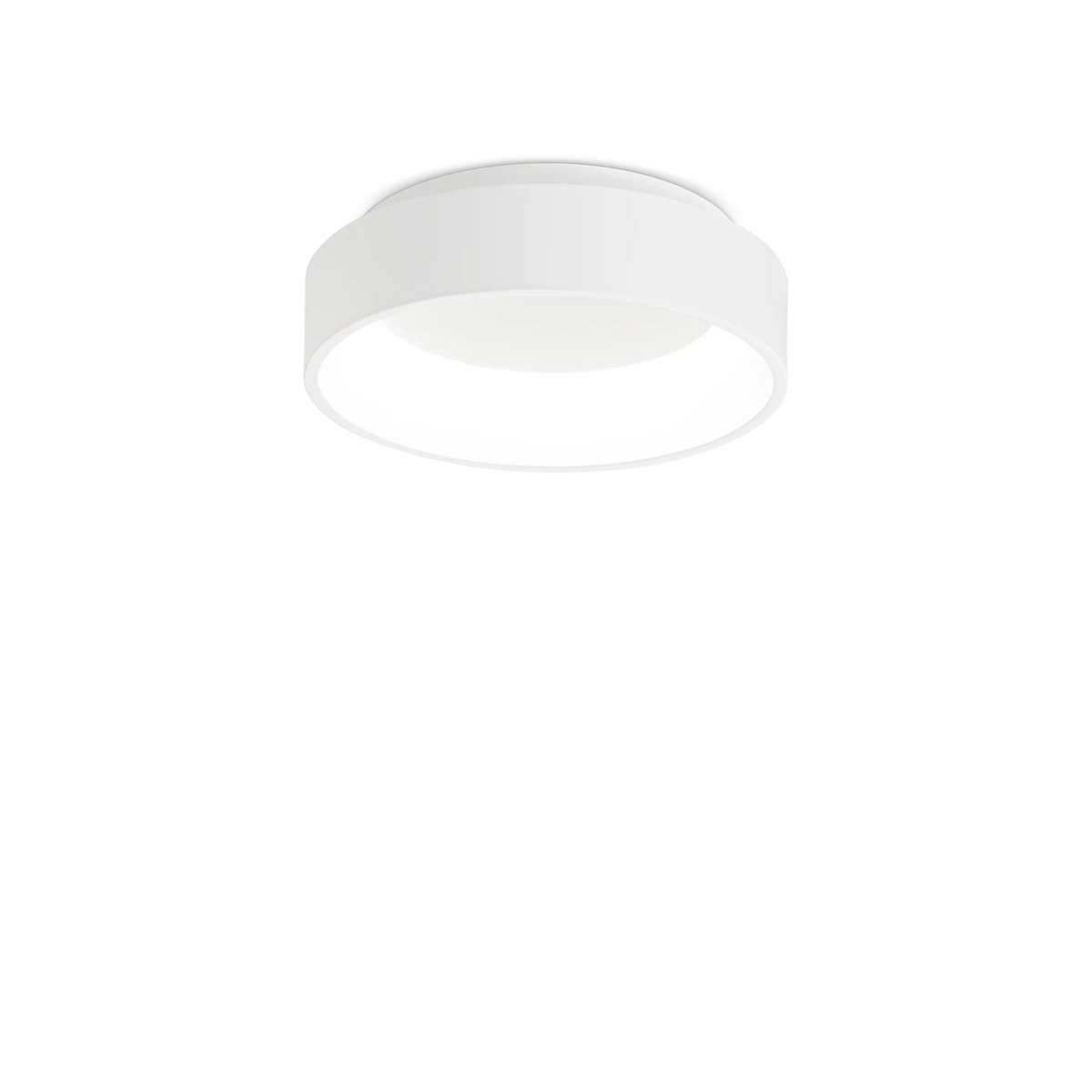 ZIGGY PL D030 BIANCO