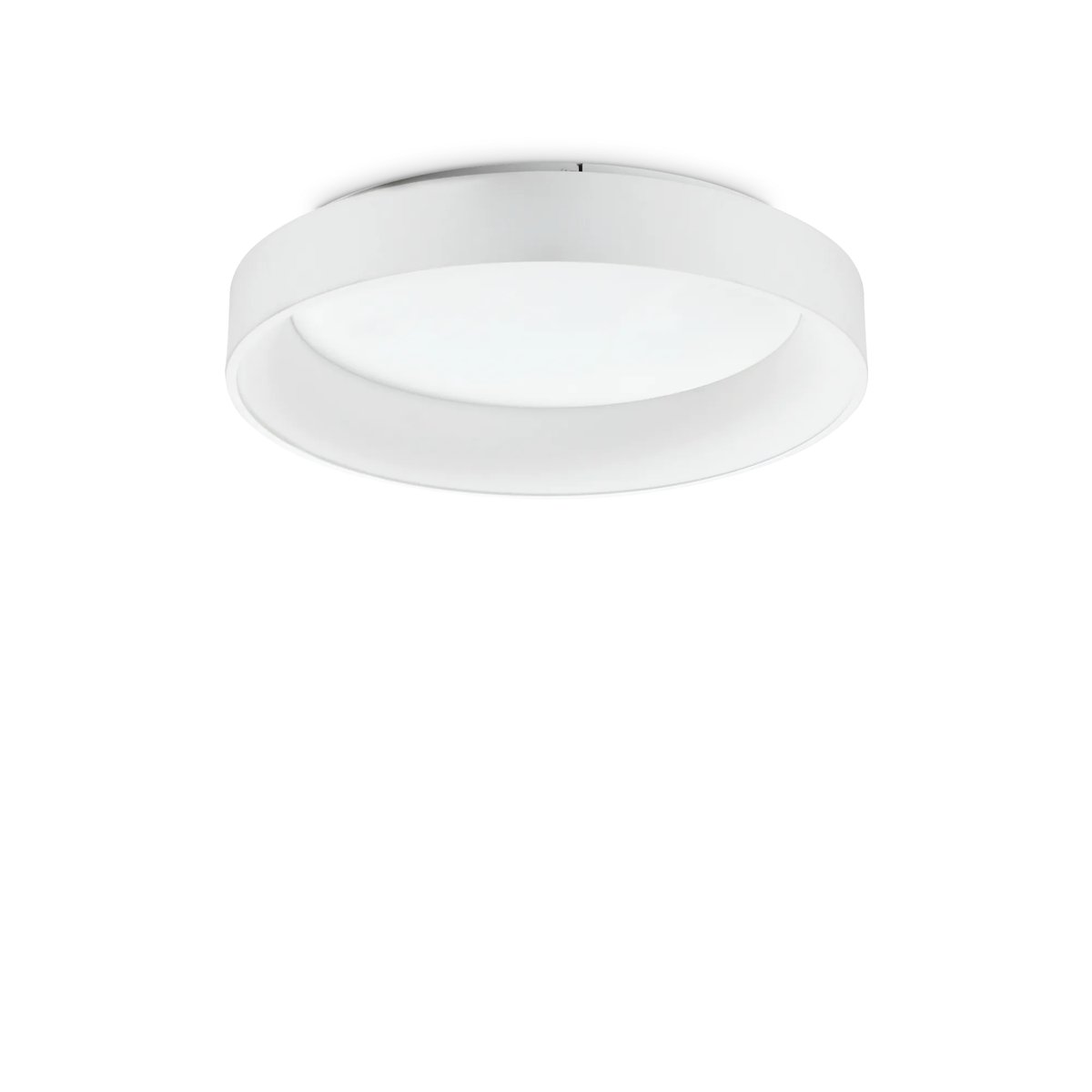 ZIGGY PL D060 BIANCO