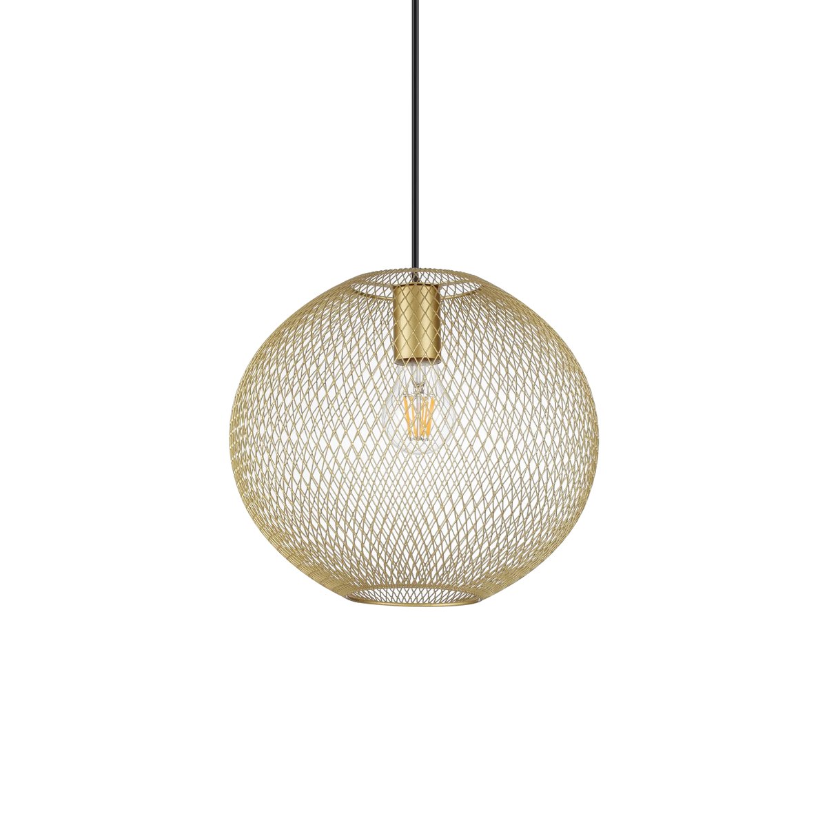 NET SP1 D29 ORO