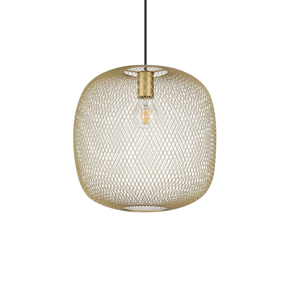 NET SP1 D34 ORO