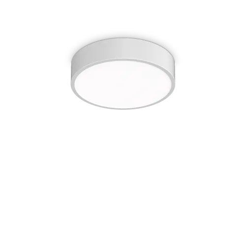 RAY PL D30 BIANCO