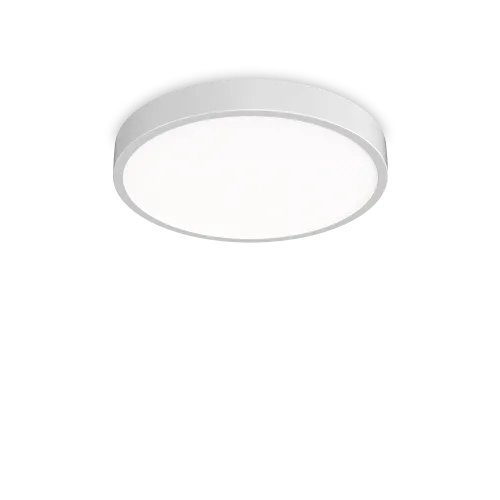 RAY PL D60 BIANCO