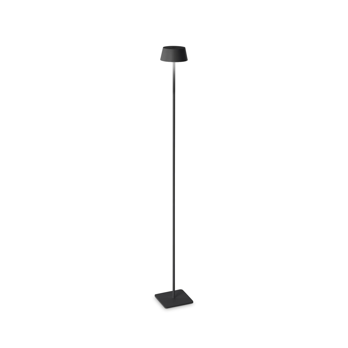 PURE PT NERO