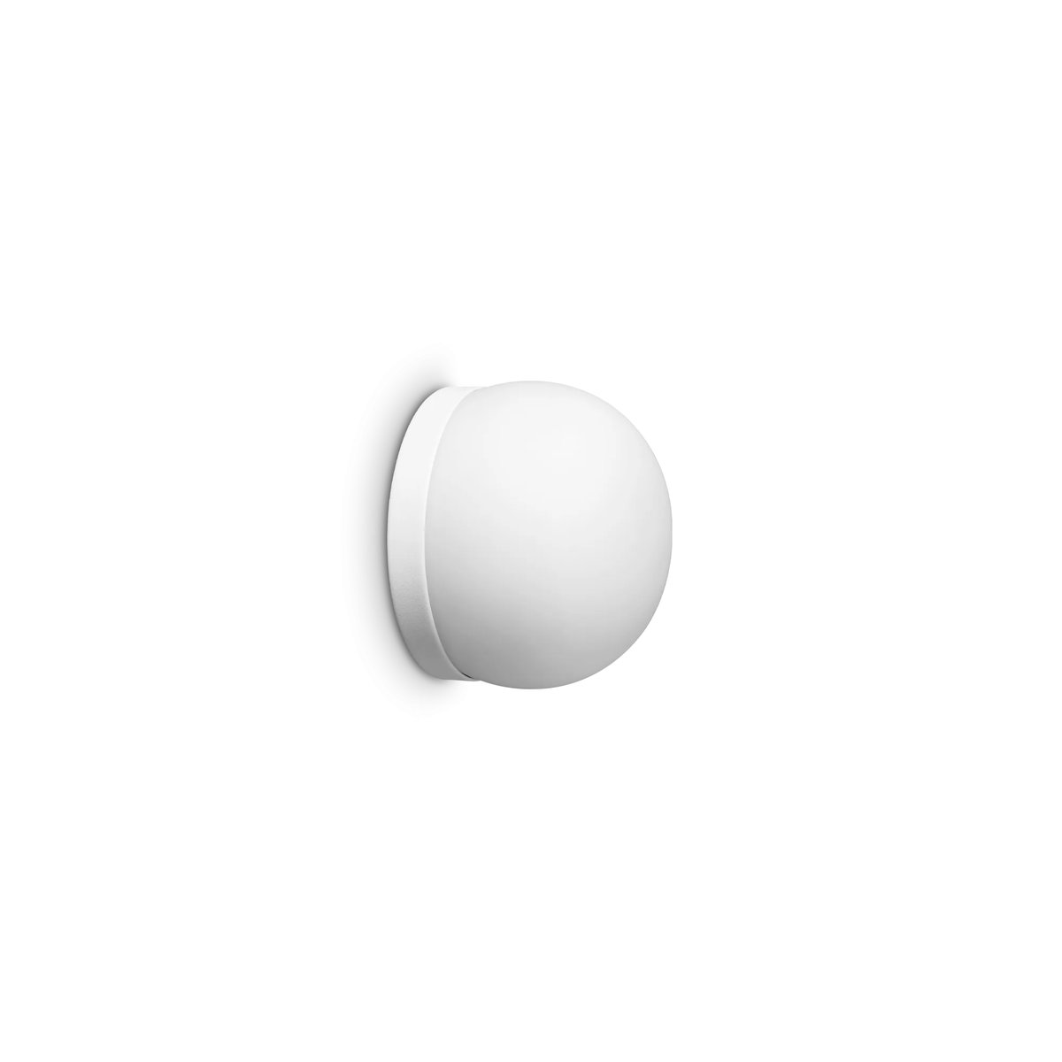 COTTON AP1 D10
