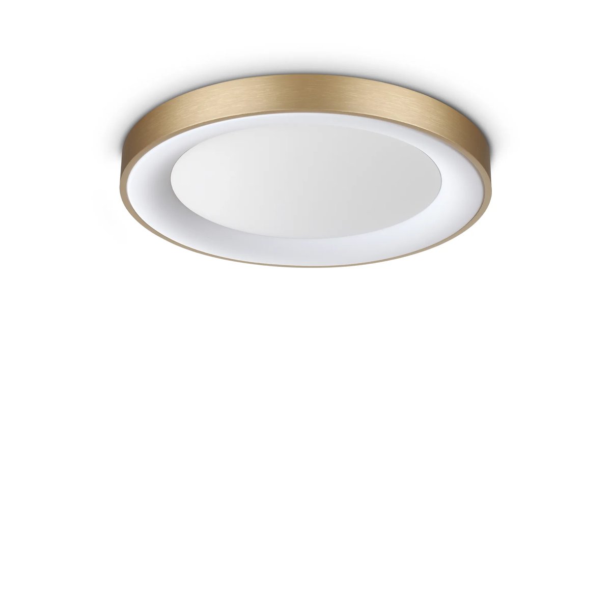 PLANET PL D50 OTTONE