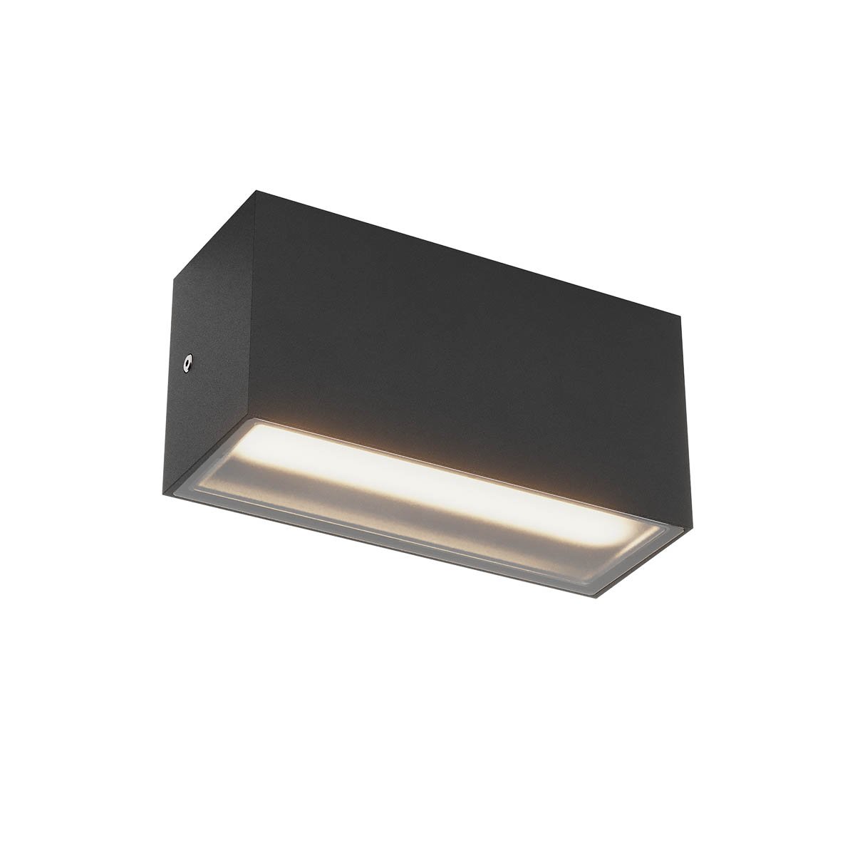 LIMAS AP LED 12W DALI IP65 CCT 2700K-3000K SBK  220MM