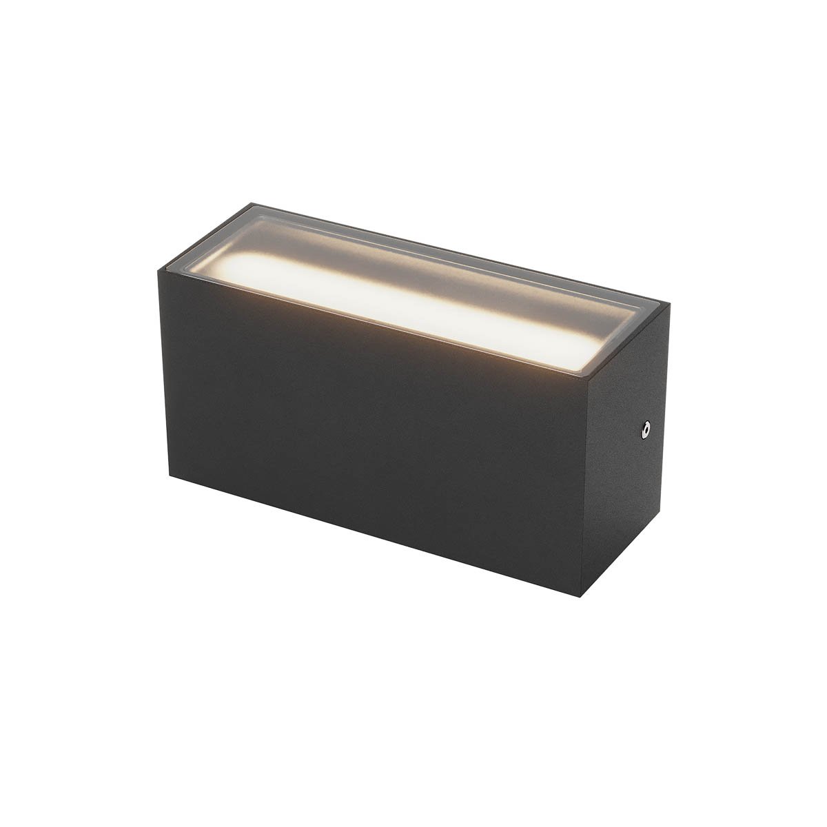 LIMAS AP LED 2x12W DALI IP65 CCT 2700K-3000K SBK  220MM